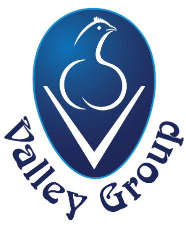 Valley Group